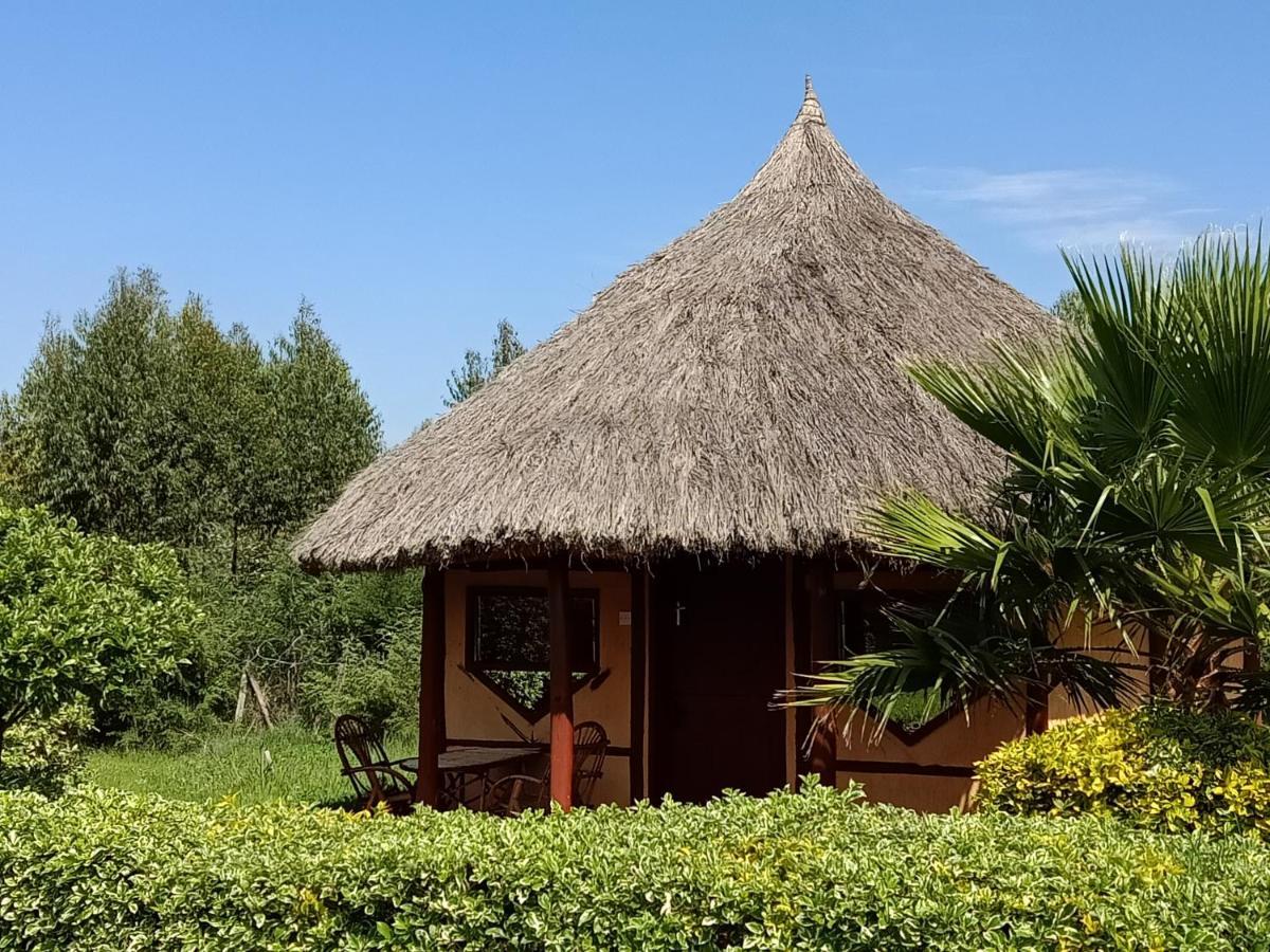The Great Circle Lodge Nanyuki Esterno foto