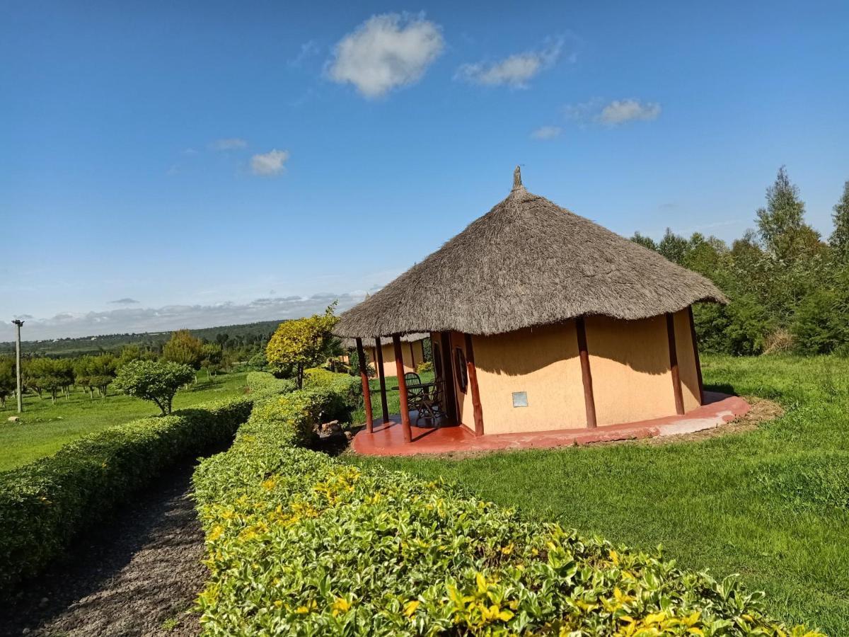 The Great Circle Lodge Nanyuki Esterno foto