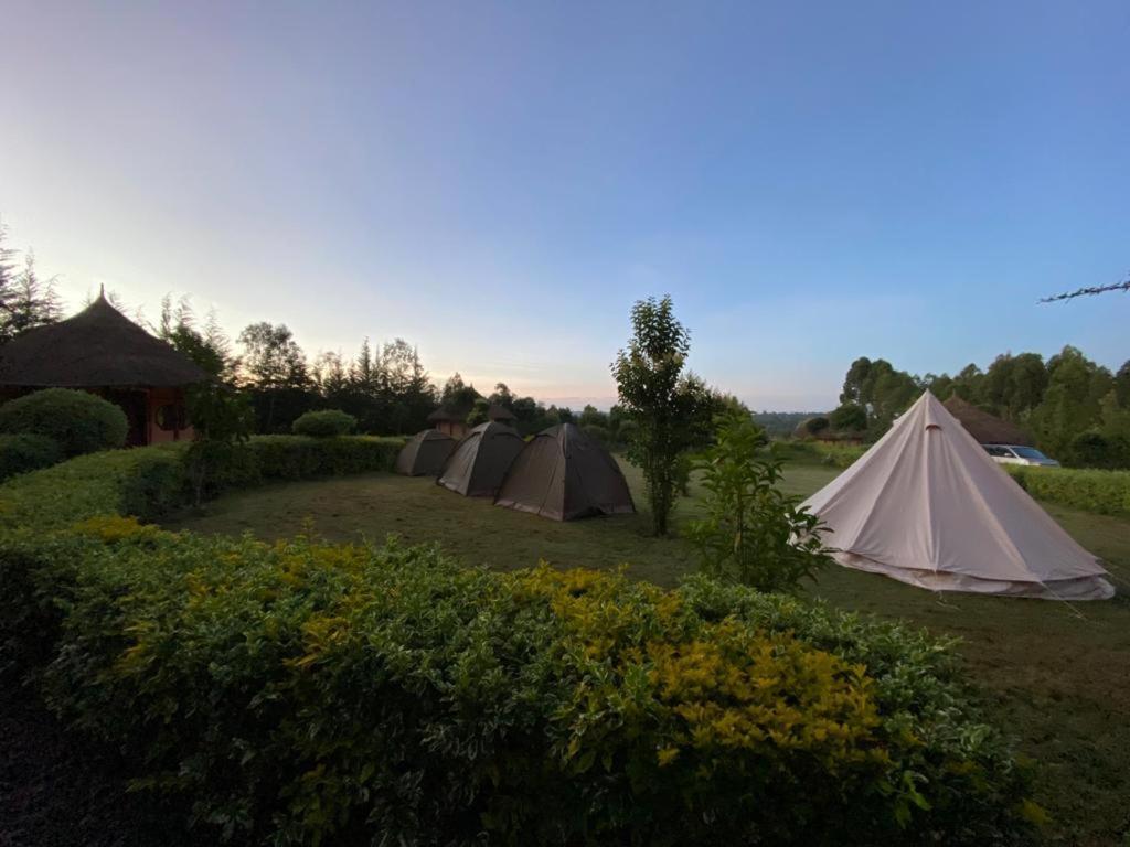 The Great Circle Lodge Nanyuki Esterno foto