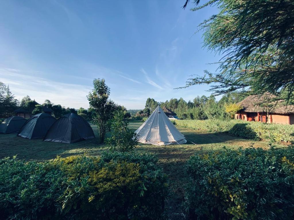 The Great Circle Lodge Nanyuki Esterno foto
