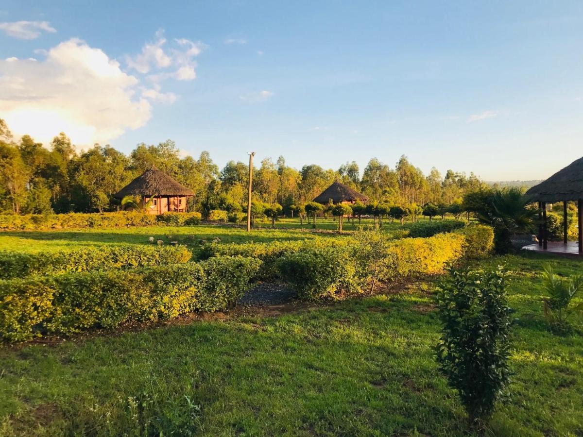The Great Circle Lodge Nanyuki Esterno foto